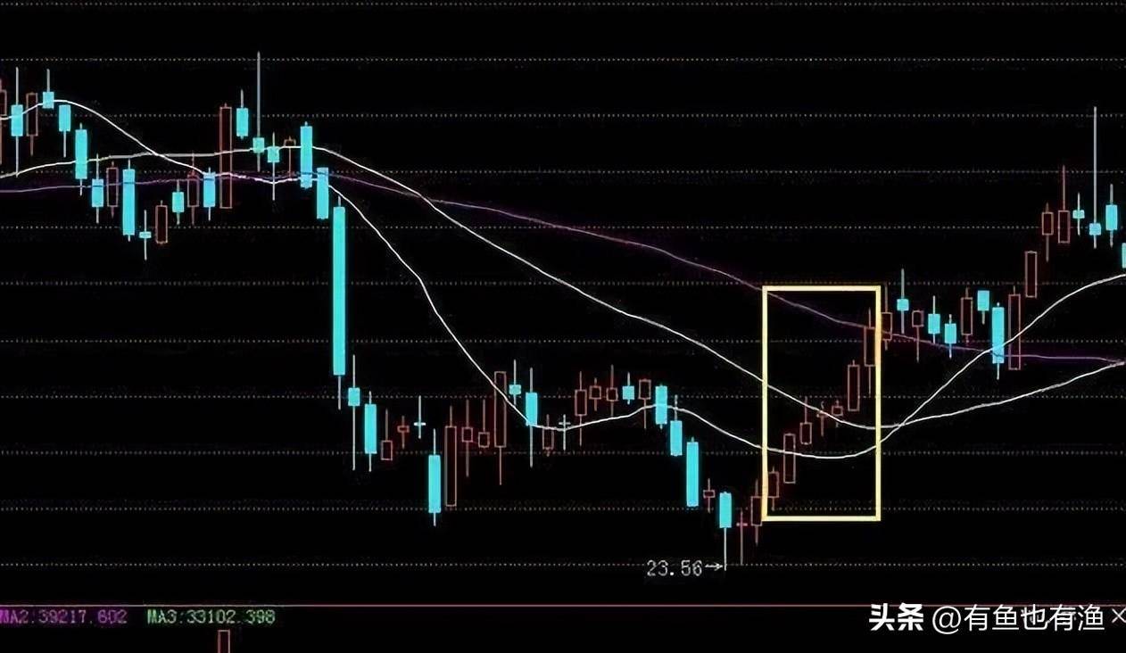 如果你决心一辈子炒股并把它当作第一职业本文将是你的垫脚石