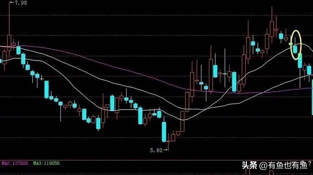 如果你决心一辈子炒股并把它当作第一职业本文将是你的垫脚石