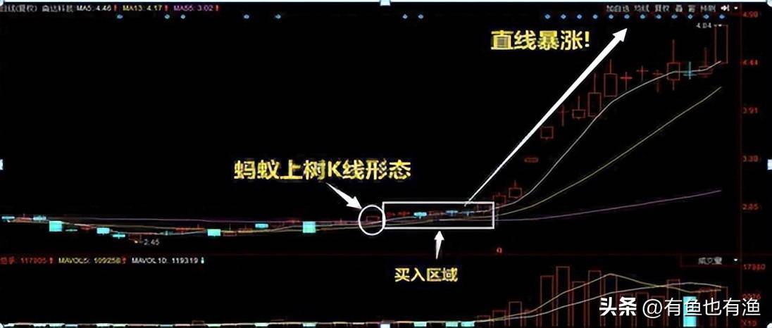 如果你决心一辈子炒股并把它当作第一职业本文将是你的垫脚石