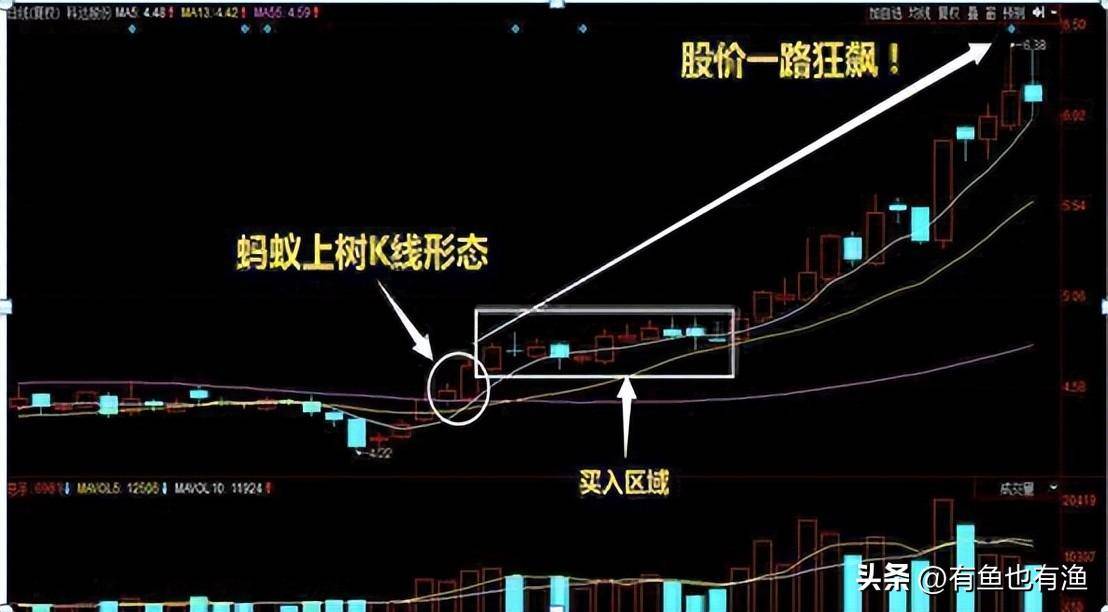 如果你决心一辈子炒股并把它当作第一职业本文将是你的垫脚石