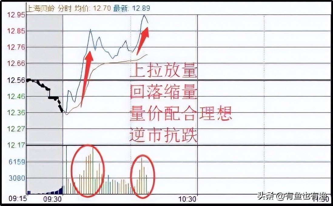 中国股坛第一人坦言坚持长期持有一只股反复做T挣万贯家财