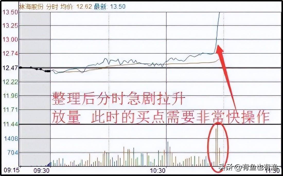 中国股坛第一人坦言坚持长期持有一只股反复做T挣万贯家财