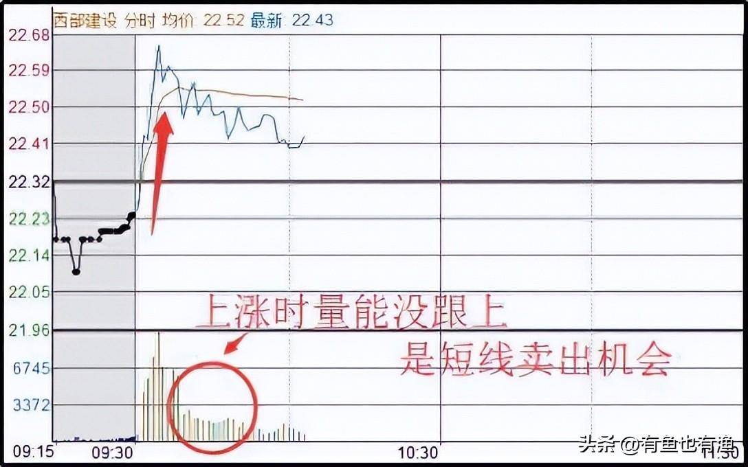 中国股坛第一人坦言坚持长期持有一只股反复做T挣万贯家财