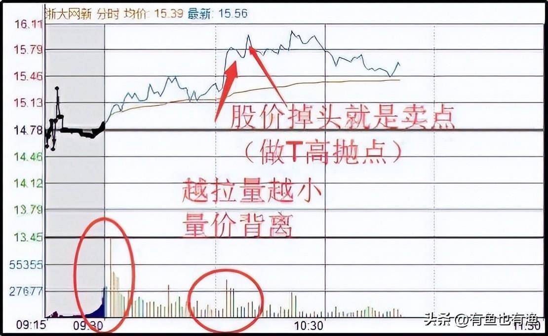 中国股坛第一人坦言坚持长期持有一只股反复做T挣万贯家财