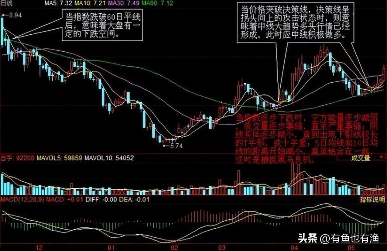 上海女博士说破股市如果手中有二十万建议死啃这两条线！精辟