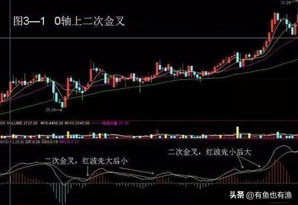 上海女博士说破股市如果手中有二十万建议死啃这两条线！精辟