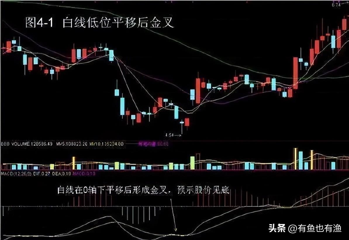 上海女博士说破股市如果手中有二十万建议死啃这两条线！精辟