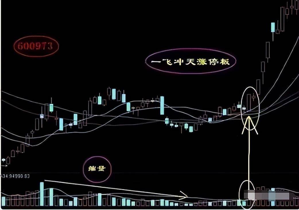 一位短线高手总结的操作精华堪称经典精通轻松捕抓涨停大牛股