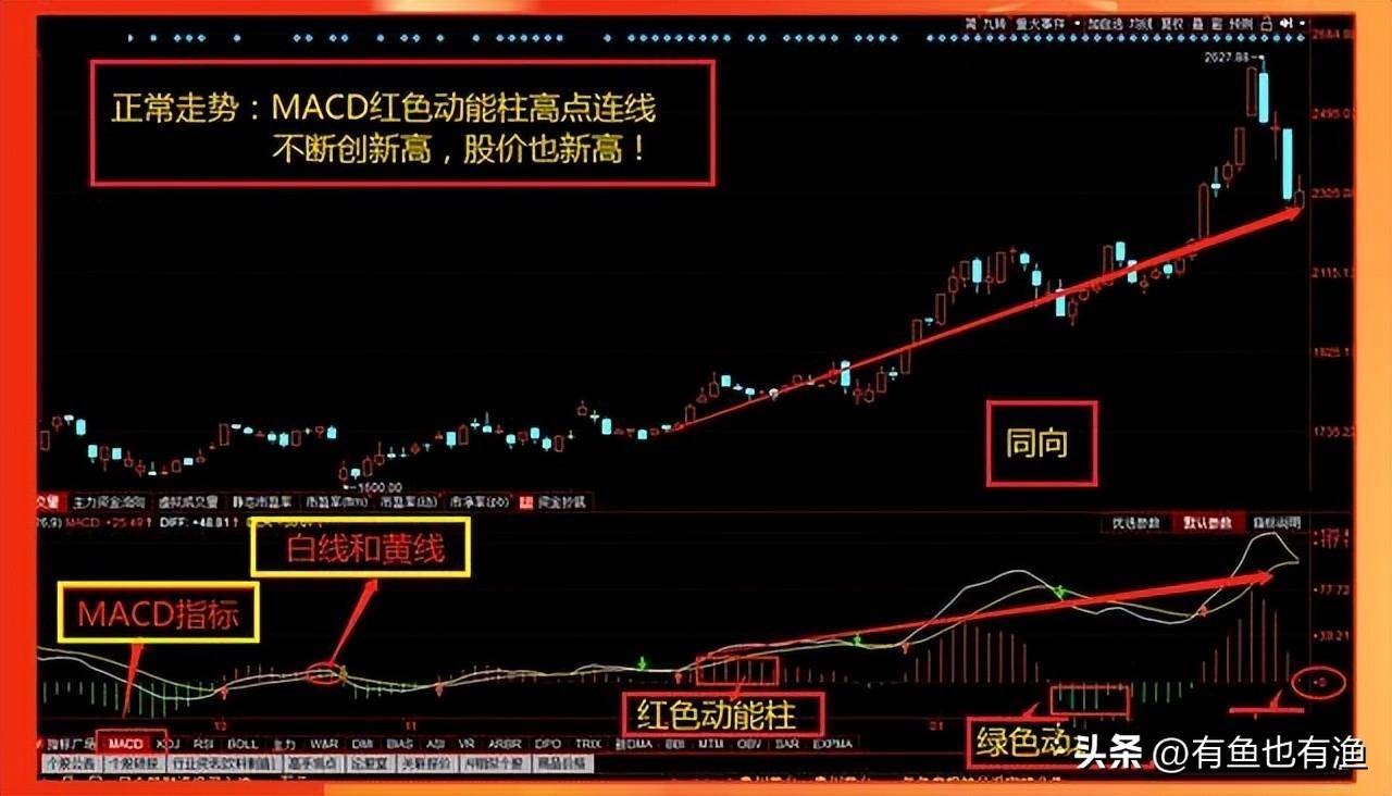 炒股尽头是什么？究竟是什么样的终点才对得起这一路的大起大落