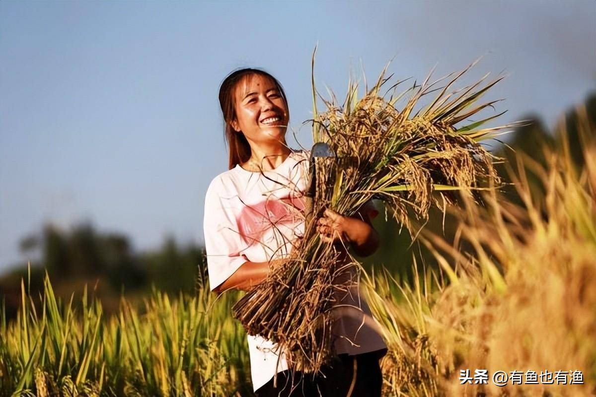 在股市中什么样的散户最让庄家头疼？不懂请不要炒股读十遍！