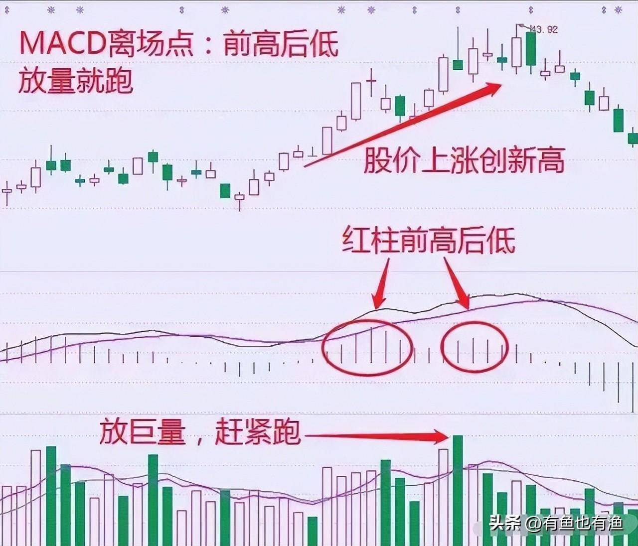在股市中什么样的散户最让庄家头疼？不懂请不要炒股读十遍！