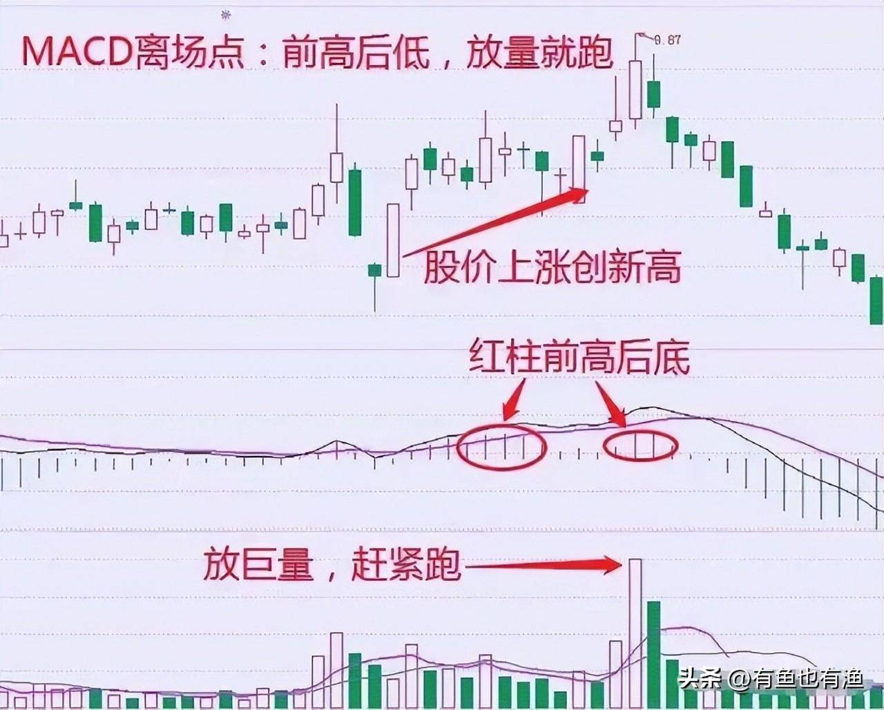 在股市中什么样的散户最让庄家头疼？不懂请不要炒股读十遍！