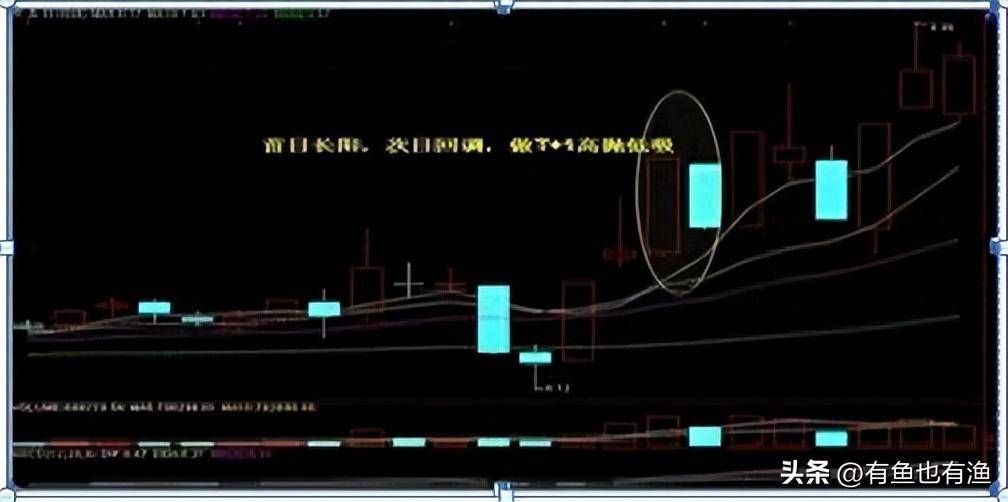 如果决心一辈子炒股立志把它当第二职业一定要看完这10条铁律