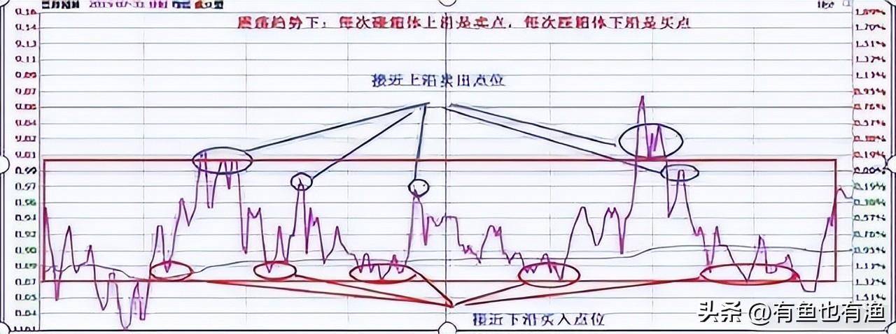 10年从本金10万赚到千万反复操作半仓一只股正反不断T