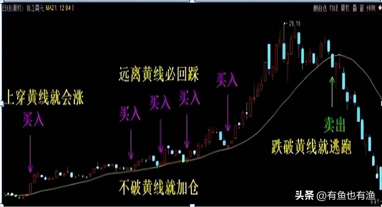 10年从本金10万赚到千万反复操作半仓一只股正反不断T