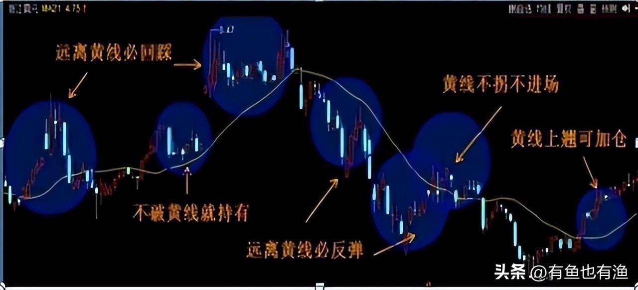 10年从本金10万赚到千万反复操作半仓一只股正反不断T