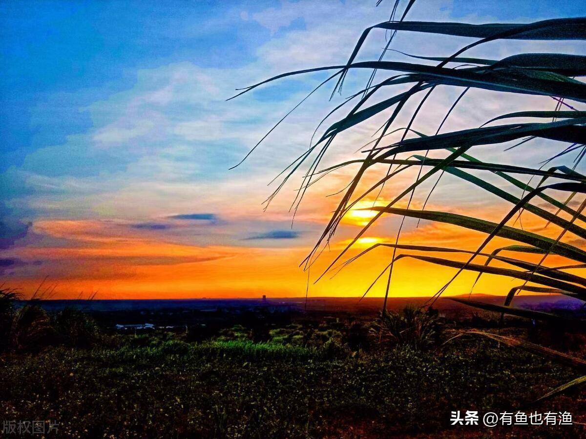 炒股那么难你坚持的意义是什么？职业股民的肺腑之言醍醐灌顶