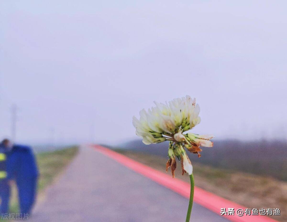 炒股那么难你坚持的意义是什么？职业股民的肺腑之言醍醐灌顶