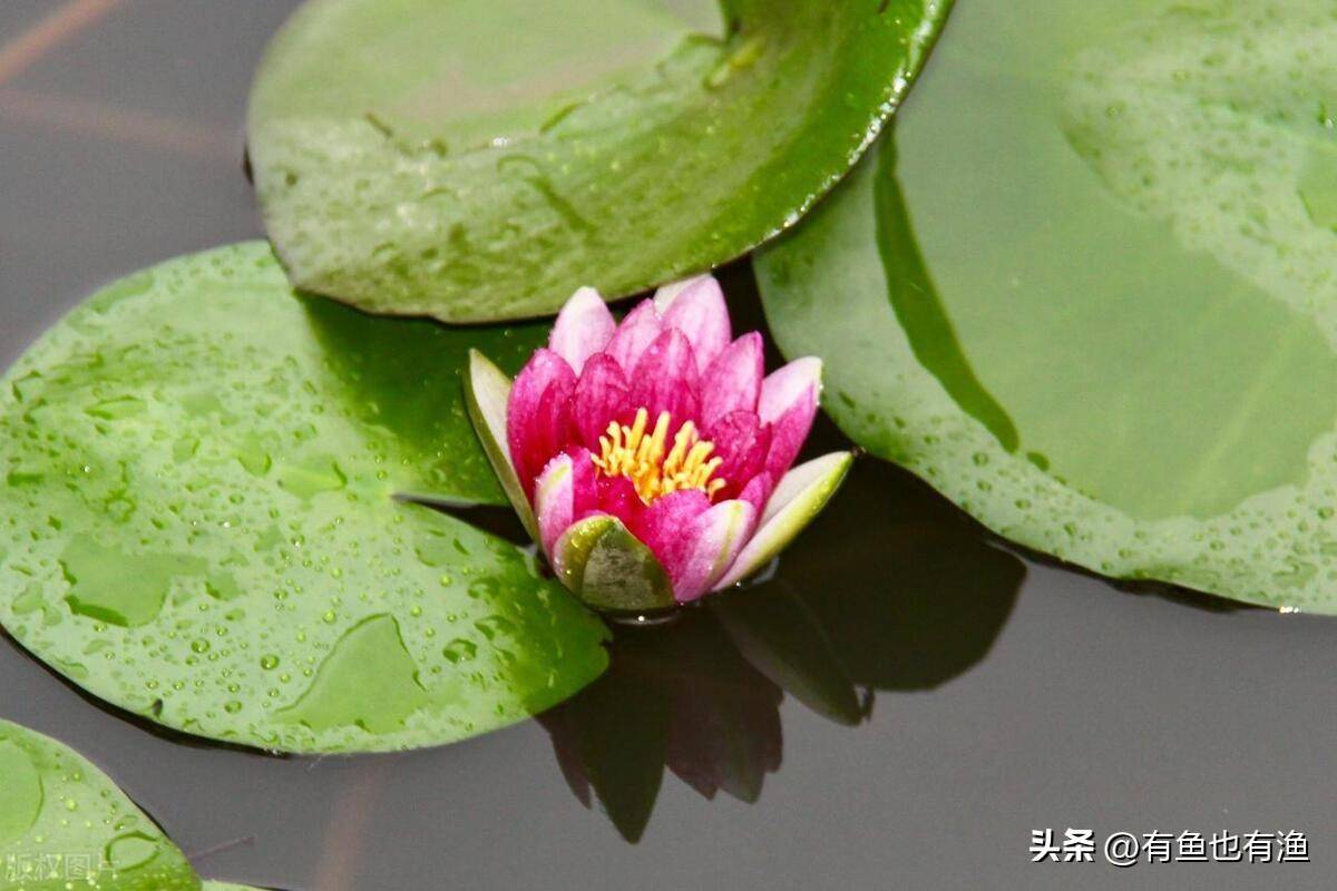 炒股成功的人共同特征是什么？用最少精力赚最多的钱太透彻了！