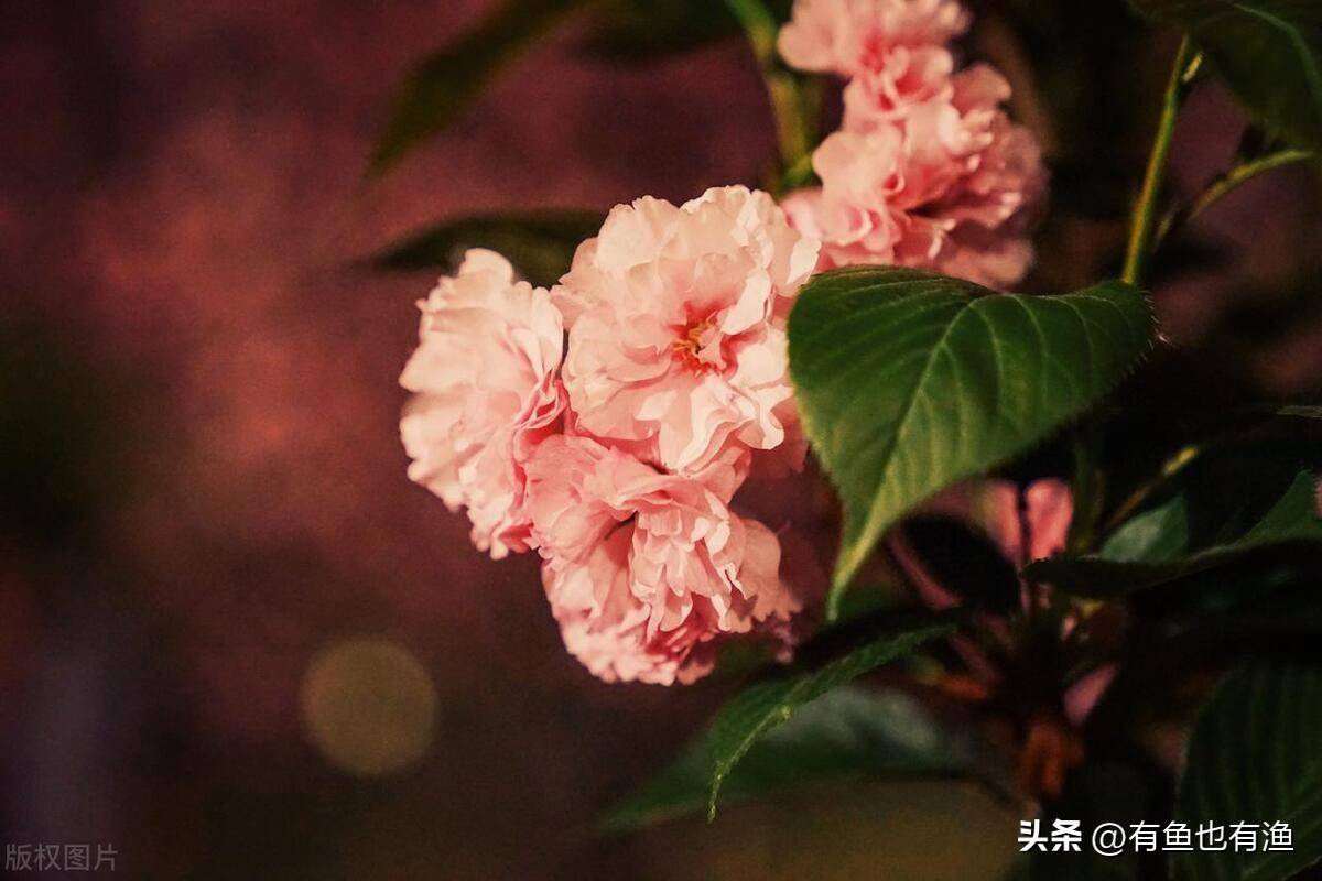 炒股成功的人共同特征是什么？用最少精力赚最多的钱太透彻了！