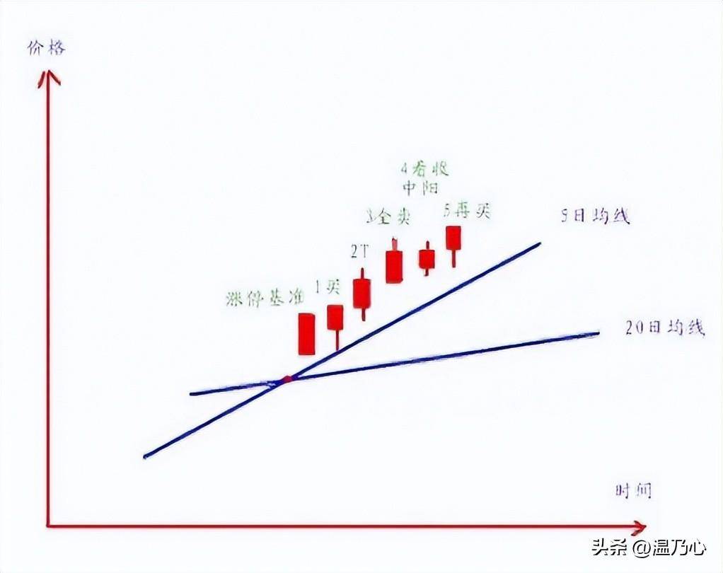 北京一位老股民12年来只持有一只股票来回做T10万做到了900万