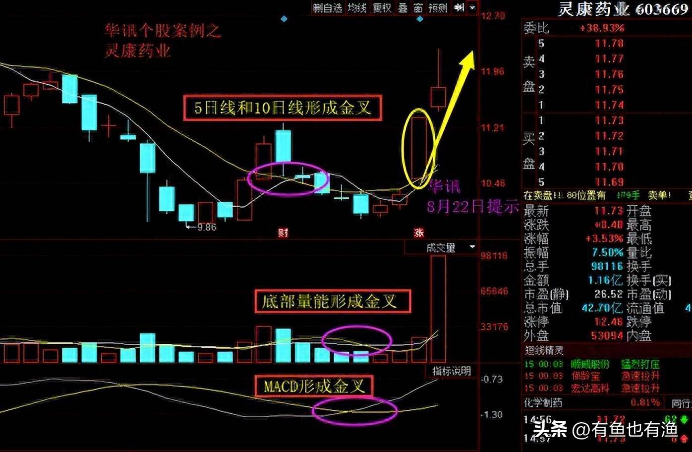 为什么马斯克敢看好中国股市？16年老股民自创抄底战法首次分享！