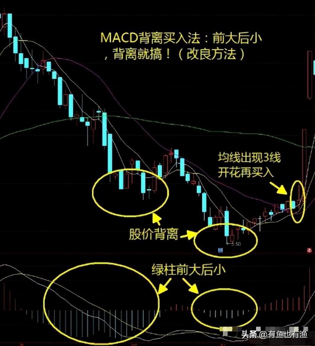 中国股市真正厉害的一种人依靠反人性炒股我整整读了10遍！