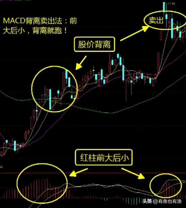 中国股市真正厉害的一种人依靠反人性炒股我整整读了10遍！
