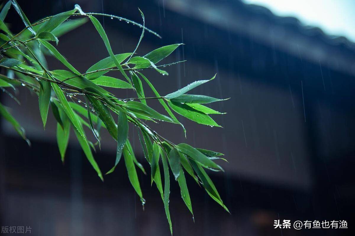 股市里鲜为人知的擒庄手法一旦掌握庄家一举一动无所遁形