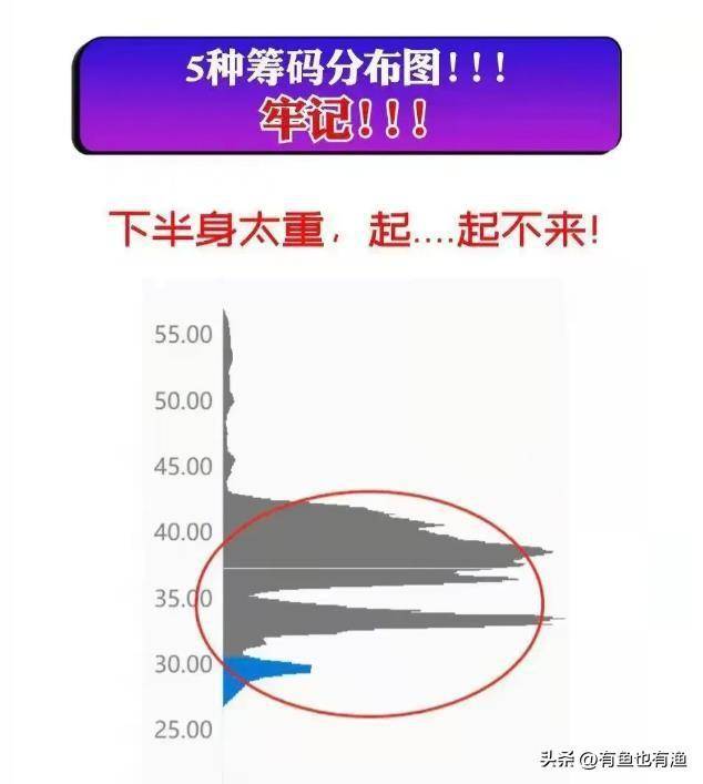 股市里鲜为人知的擒庄手法一旦掌握庄家一举一动无所遁形