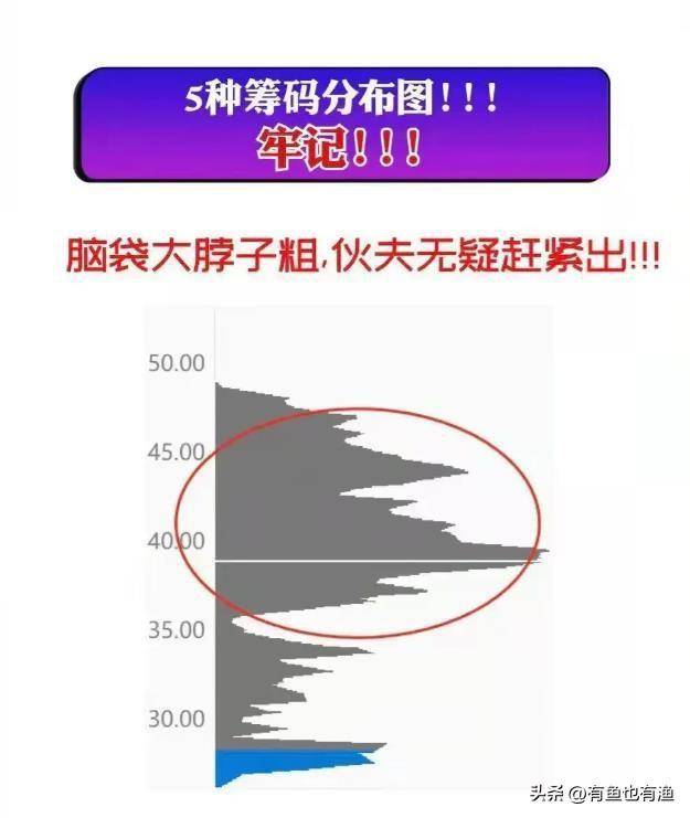 股市里鲜为人知的擒庄手法一旦掌握庄家一举一动无所遁形