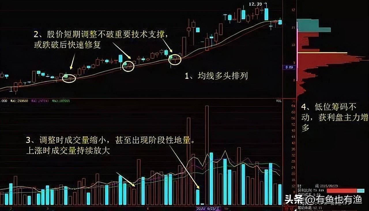股市里鲜为人知的擒庄手法一旦掌握庄家一举一动无所遁形