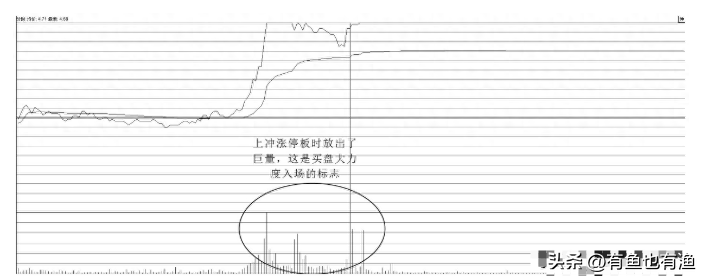 一位退役操盘手的揭露股市里的6大谎言看完瞬间清醒醍醐灌顶