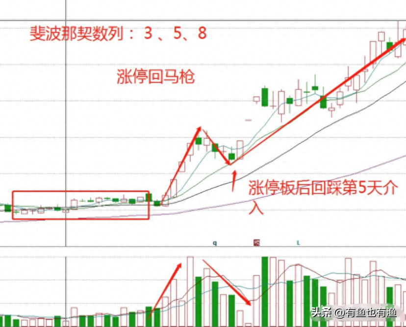 一个人炒股到最后会悟道吗？十六年老股民肺腑之言看完受益匪浅