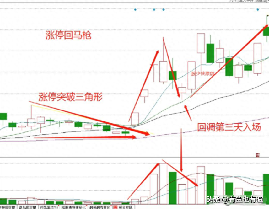 一个人炒股到最后会悟道吗？十六年老股民肺腑之言看完受益匪浅