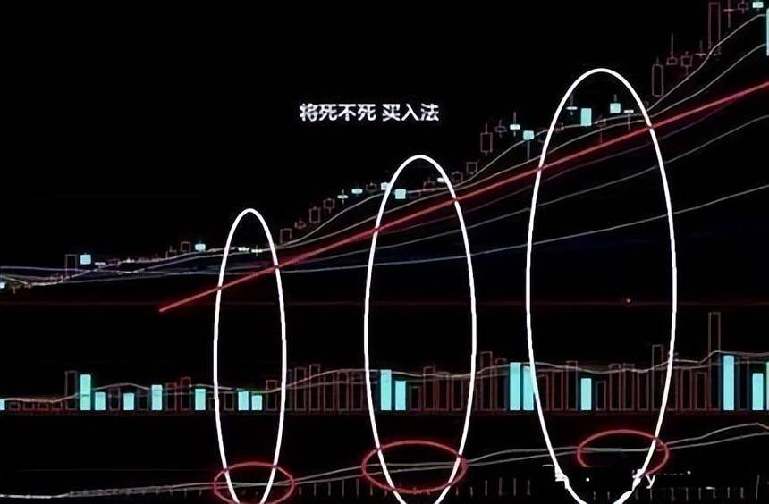 中国股市写给还在亏损的股民的一封信此文虽然很短但是很深！