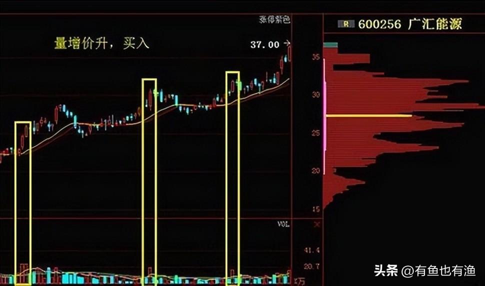 但凡连续大涨的股票量价必定有这特征读懂你将赚到怀疑人生！