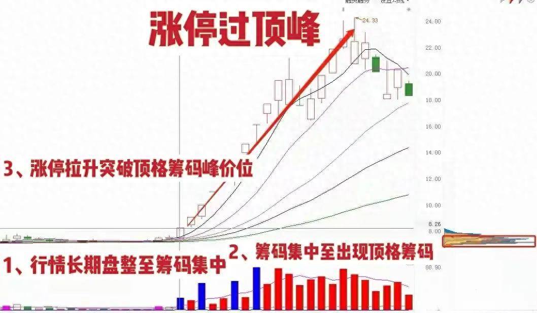 真正靠炒股实现财富自由的一种人做到这8点财富离你越来越近
