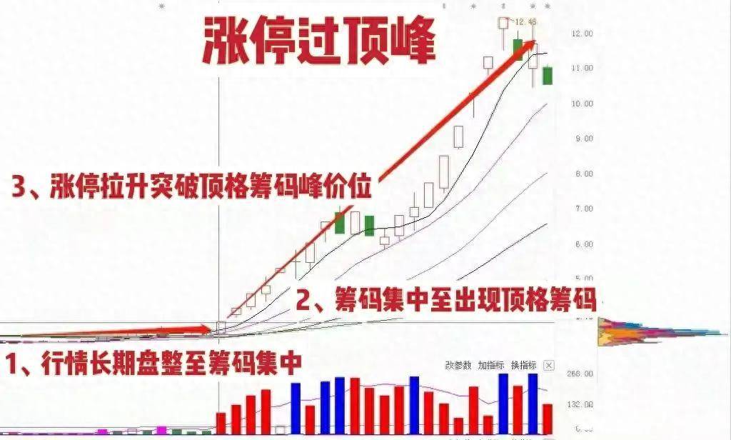 真正靠炒股实现财富自由的一种人做到这8点财富离你越来越近