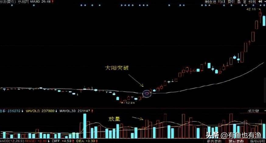 老股民获利十年的秘密只用一根30日均线吃掉80的利润！