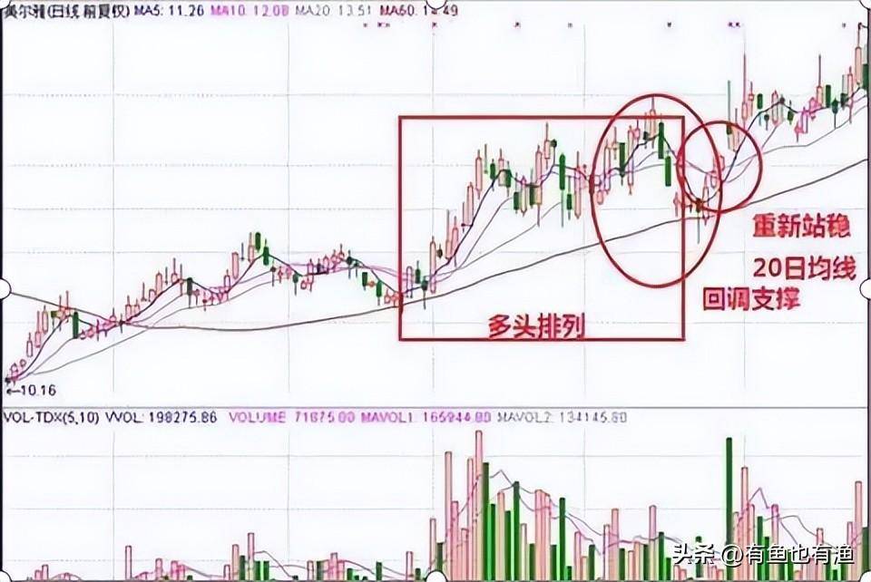 老股民获利十年的秘密只用一根30日均线吃掉80的利润！