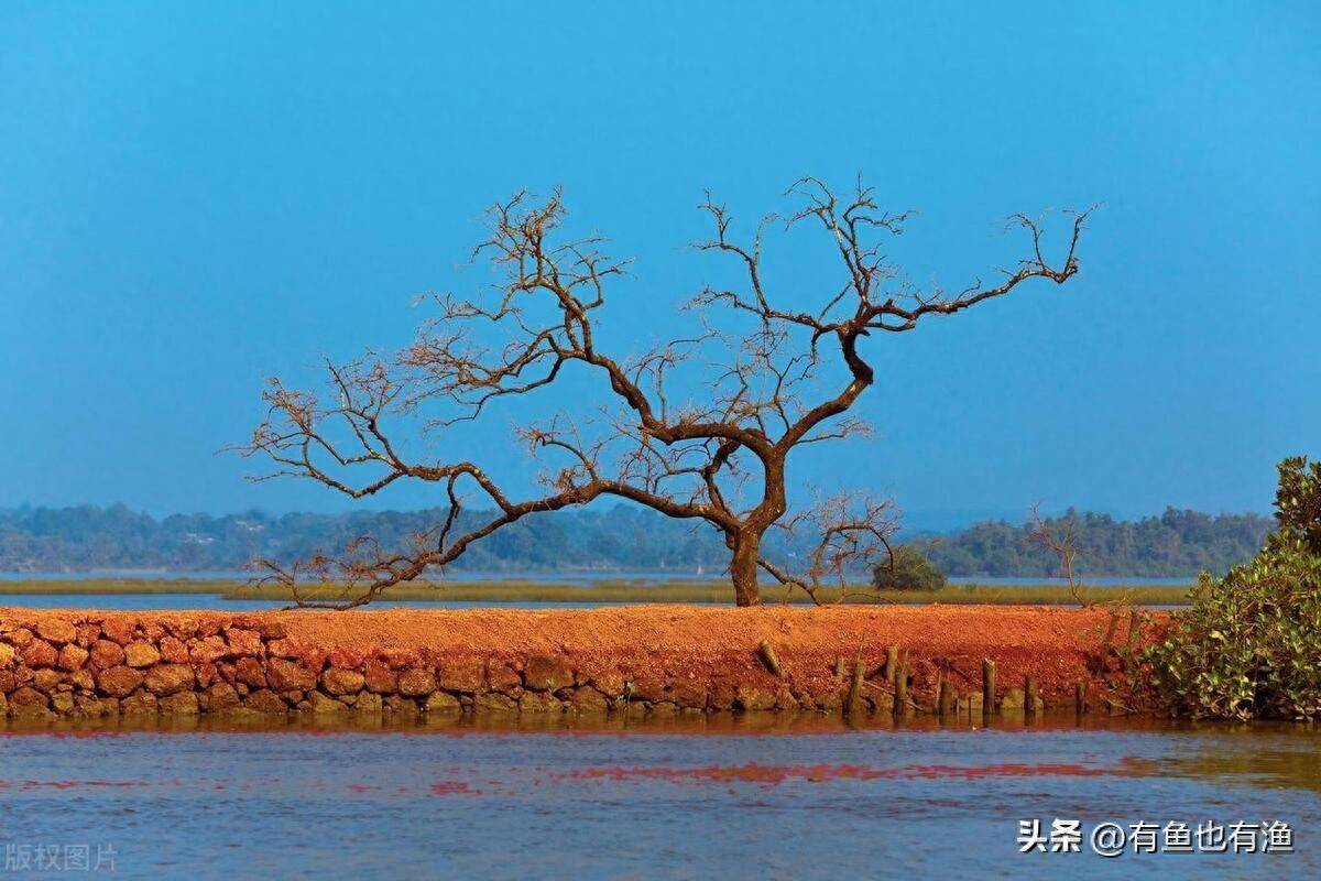 晚上睡不着的时候就看看为什么说炒股的人没有朋友？句句戳心