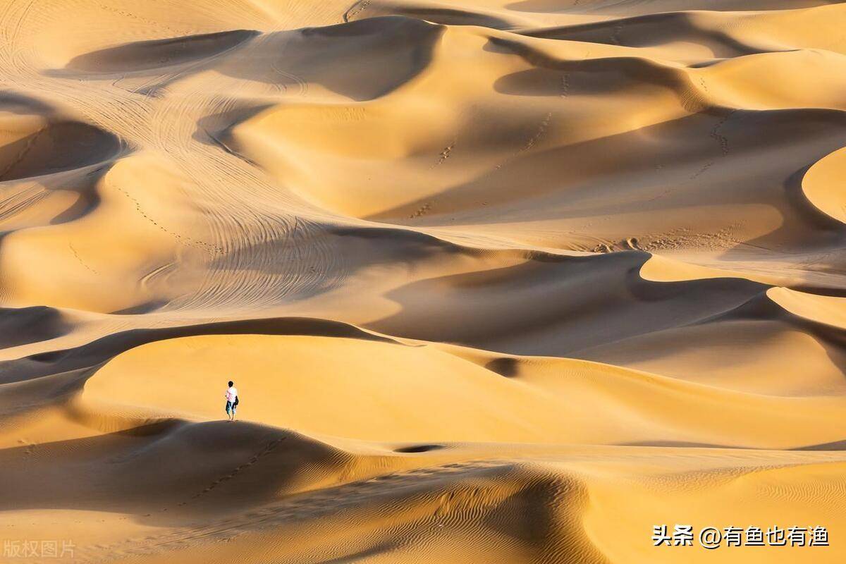 晚上睡不着的时候就看看为什么说炒股的人没有朋友？句句戳心