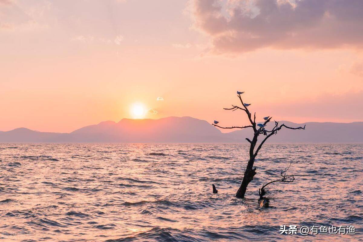 晚上睡不着的时候就看看为什么说炒股的人没有朋友？句句戳心