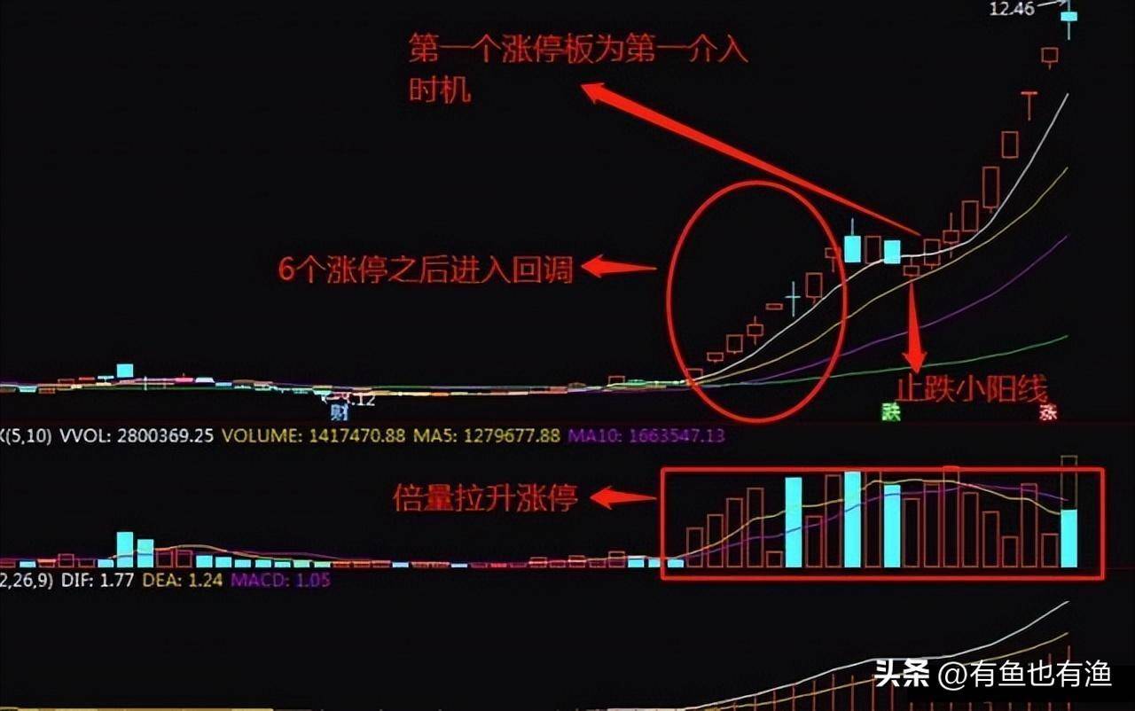 一位老股民告诉你他是如何凭龙回头一种股票吃掉80利润