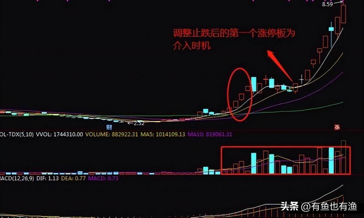 一位老股民告诉你他是如何凭龙回头一种股票吃掉80利润