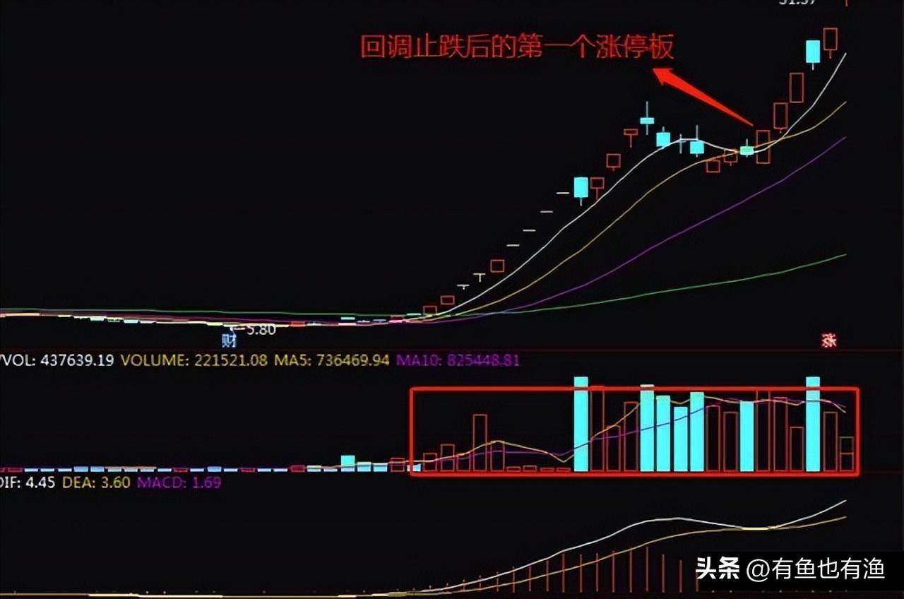 一位老股民告诉你他是如何凭龙回头一种股票吃掉80利润