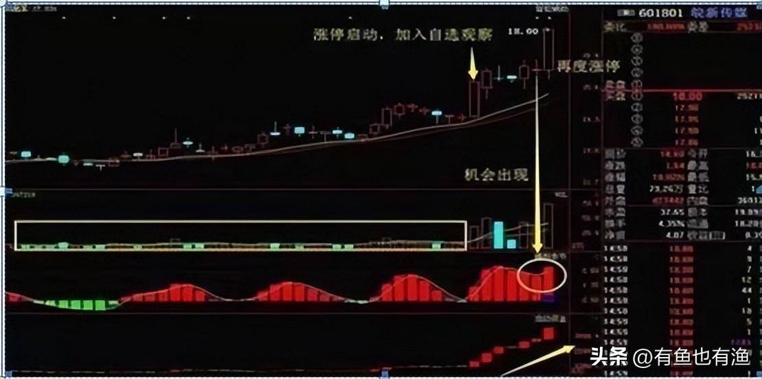 一位老股民告诉你他是如何凭龙回头一种股票吃掉80利润