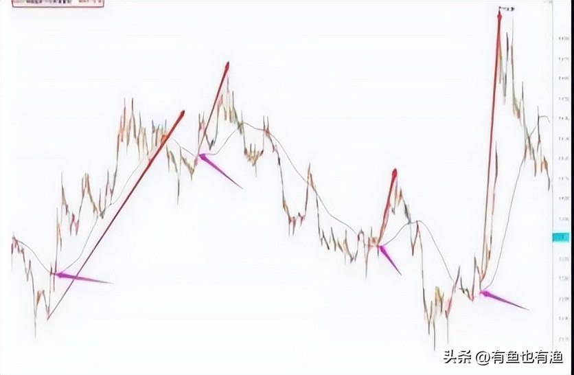 炒股成功的人都是用这种笨方法颠覆你的赚钱思维不可思议