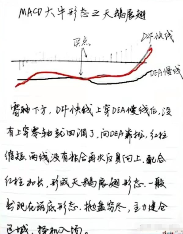 3年从8万赚到现在养家只因靠MACD大牛形态牢记在心永不亏